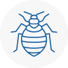 Bed Bug Extermination In Witham