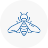 Bee Nest Removal Witham