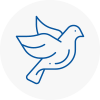 Bird Prevention Witham
