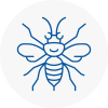 Witham Hornet Nest Removals