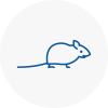 Mice Exterminators In Witham