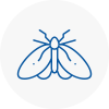 Moth Control Specialists In Witham