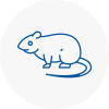 Rat Control Witham