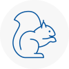 Witham Rodent Removals
